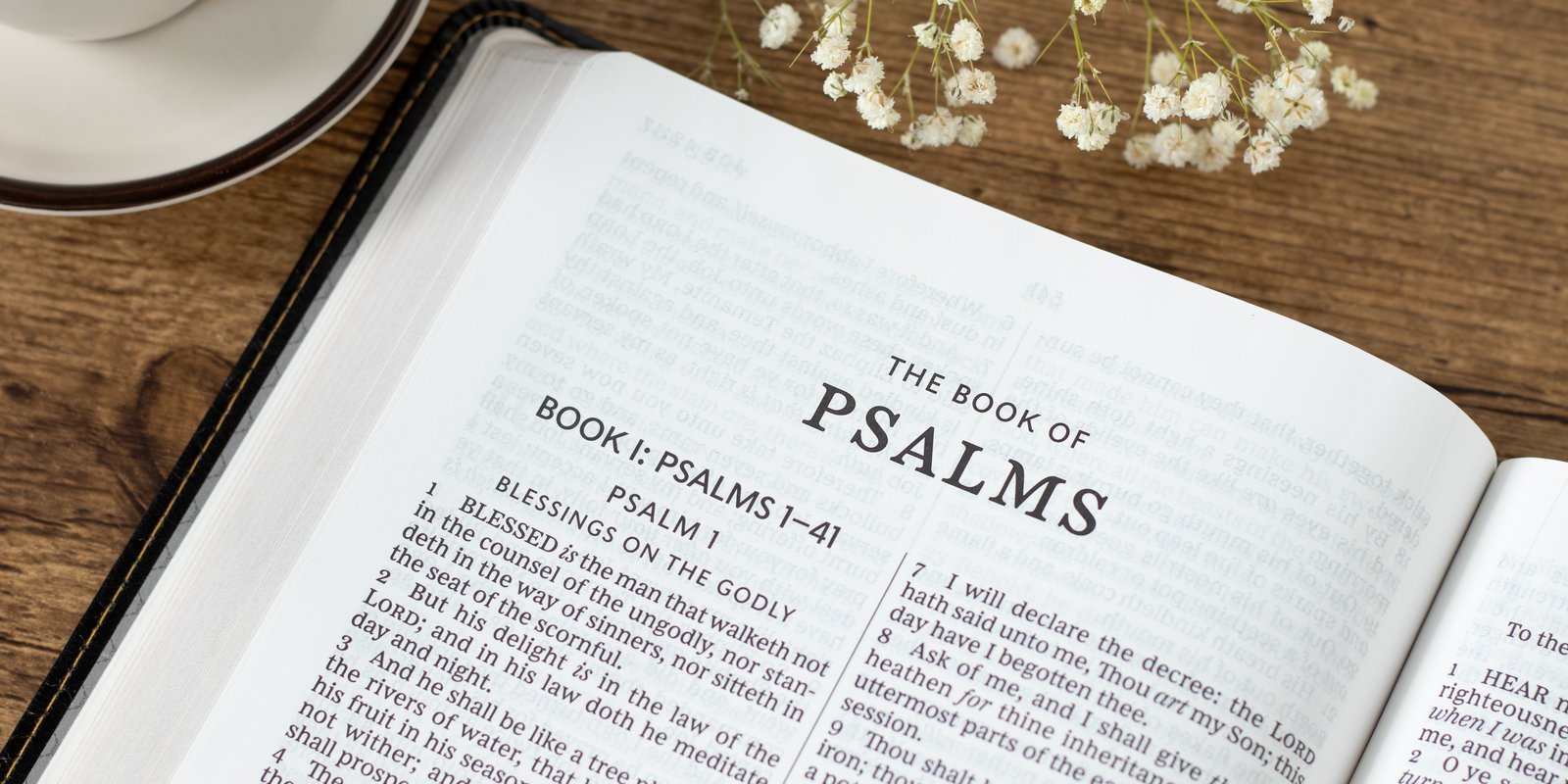 The book of Psalms