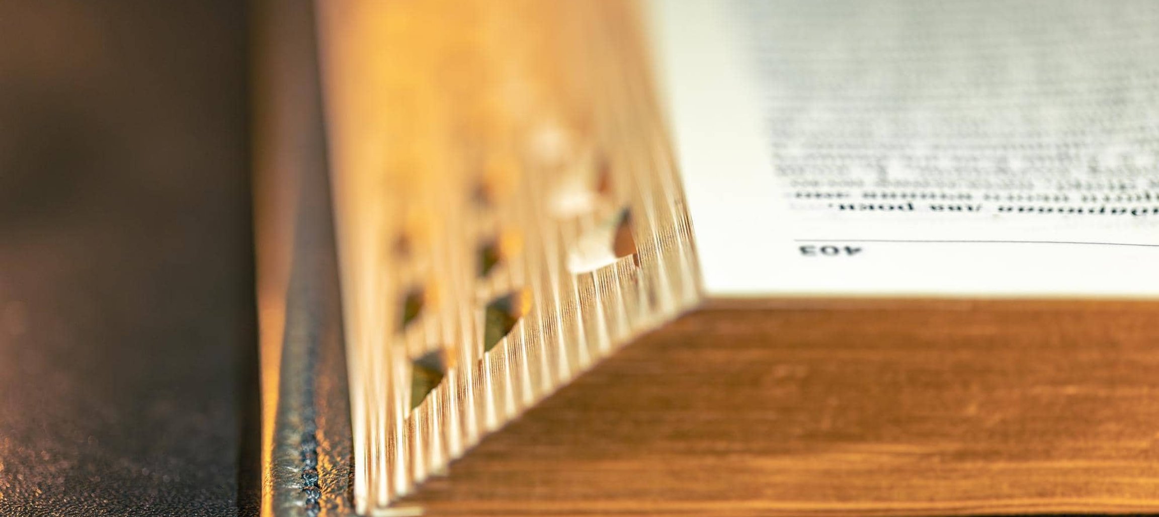 Woman reading Bible outdoors during quiet time