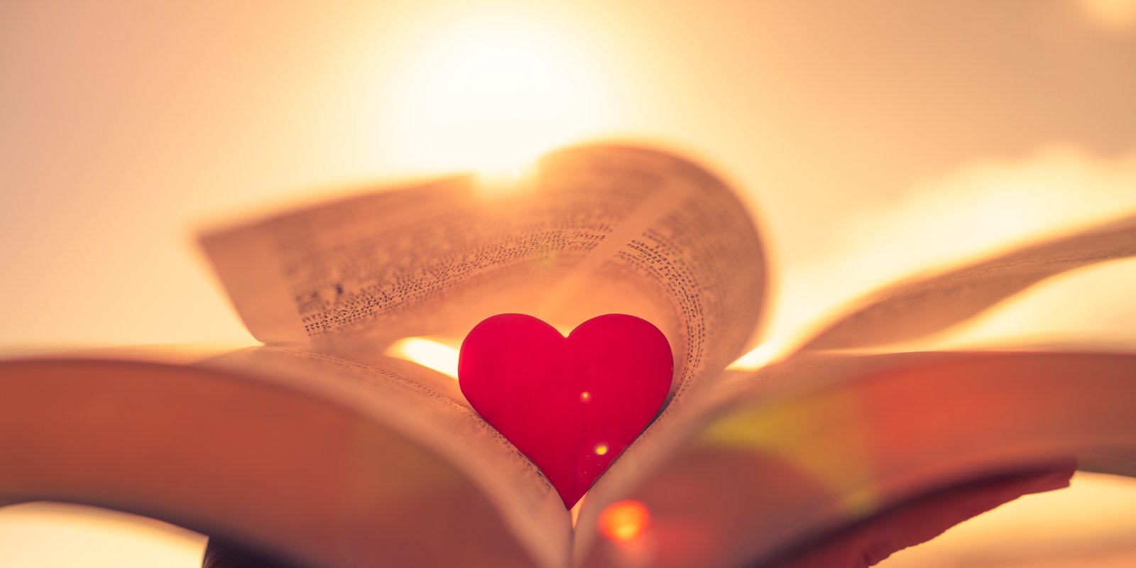 heart laying in book
