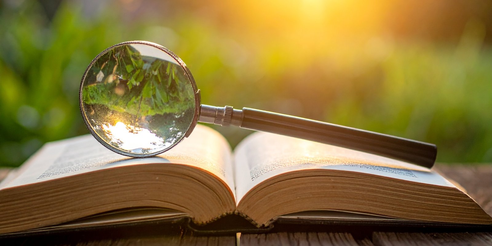 Bible study requires self-discipline, patience, determination, and concentration.